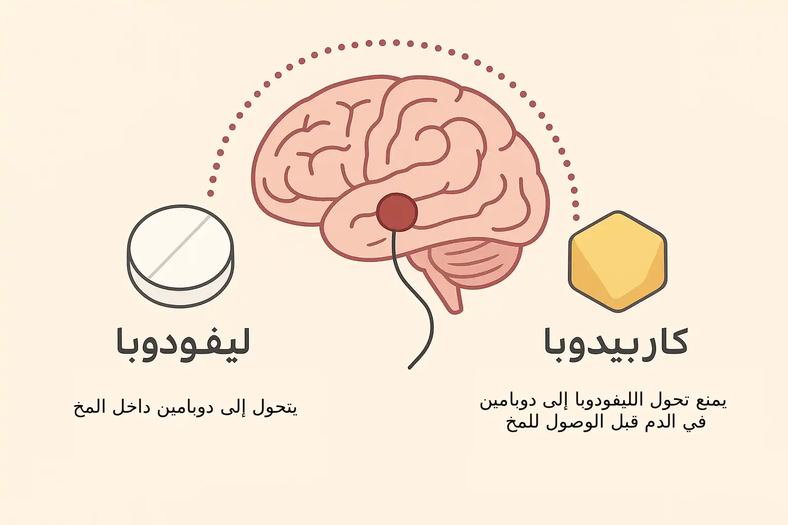 كاربيدوبا و ليفودوبا